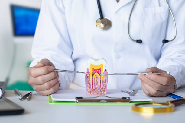 Best Broken or Cracked Tooth Emergency Dentist in East Mountain, TX
